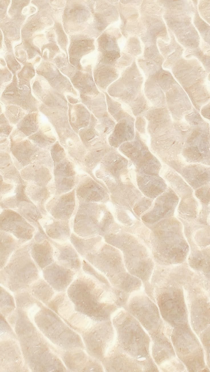 backround4.jpg